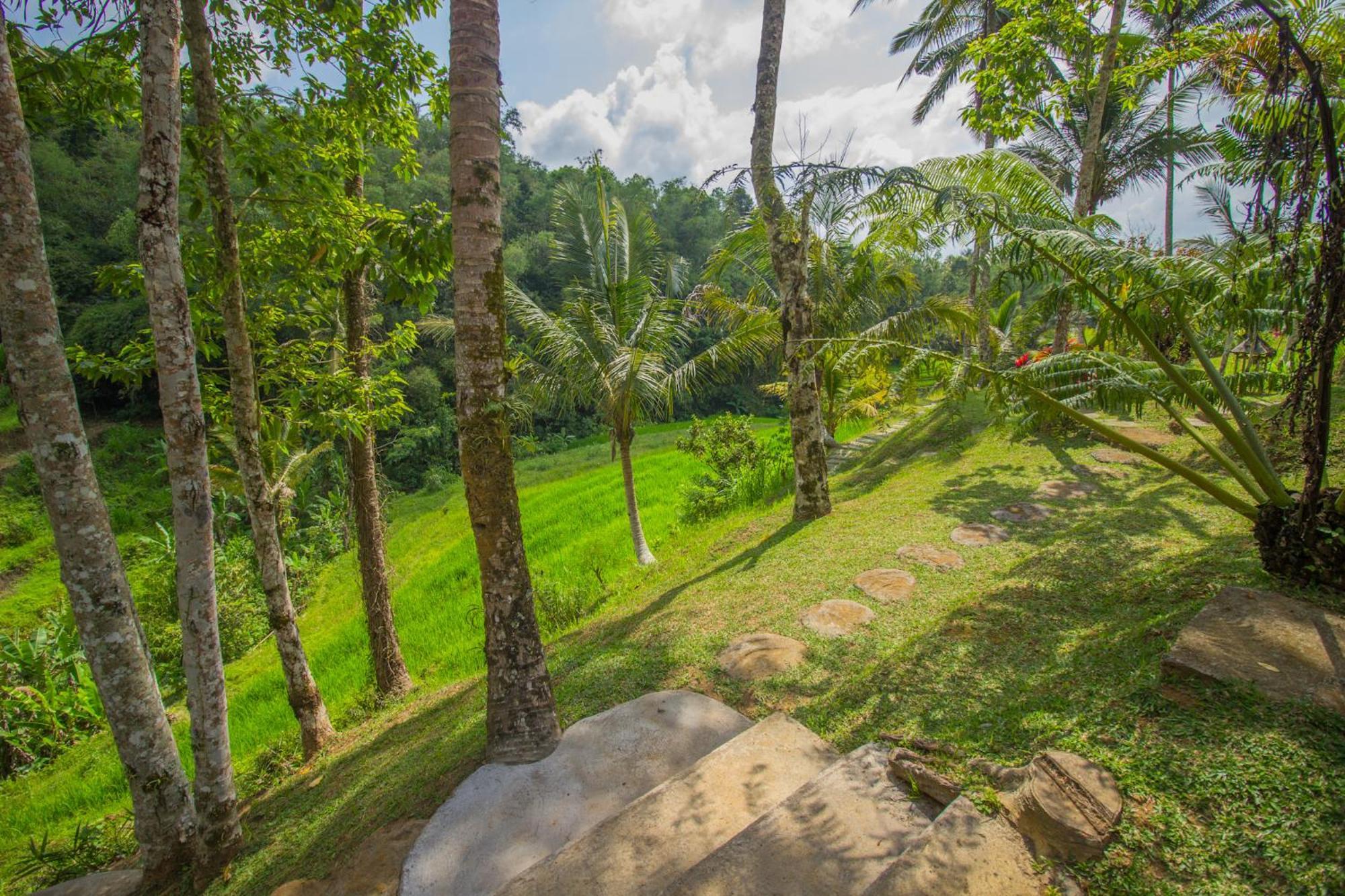 ג'טילווי Pesona Bali Ecolodge By Agata מראה חיצוני תמונה