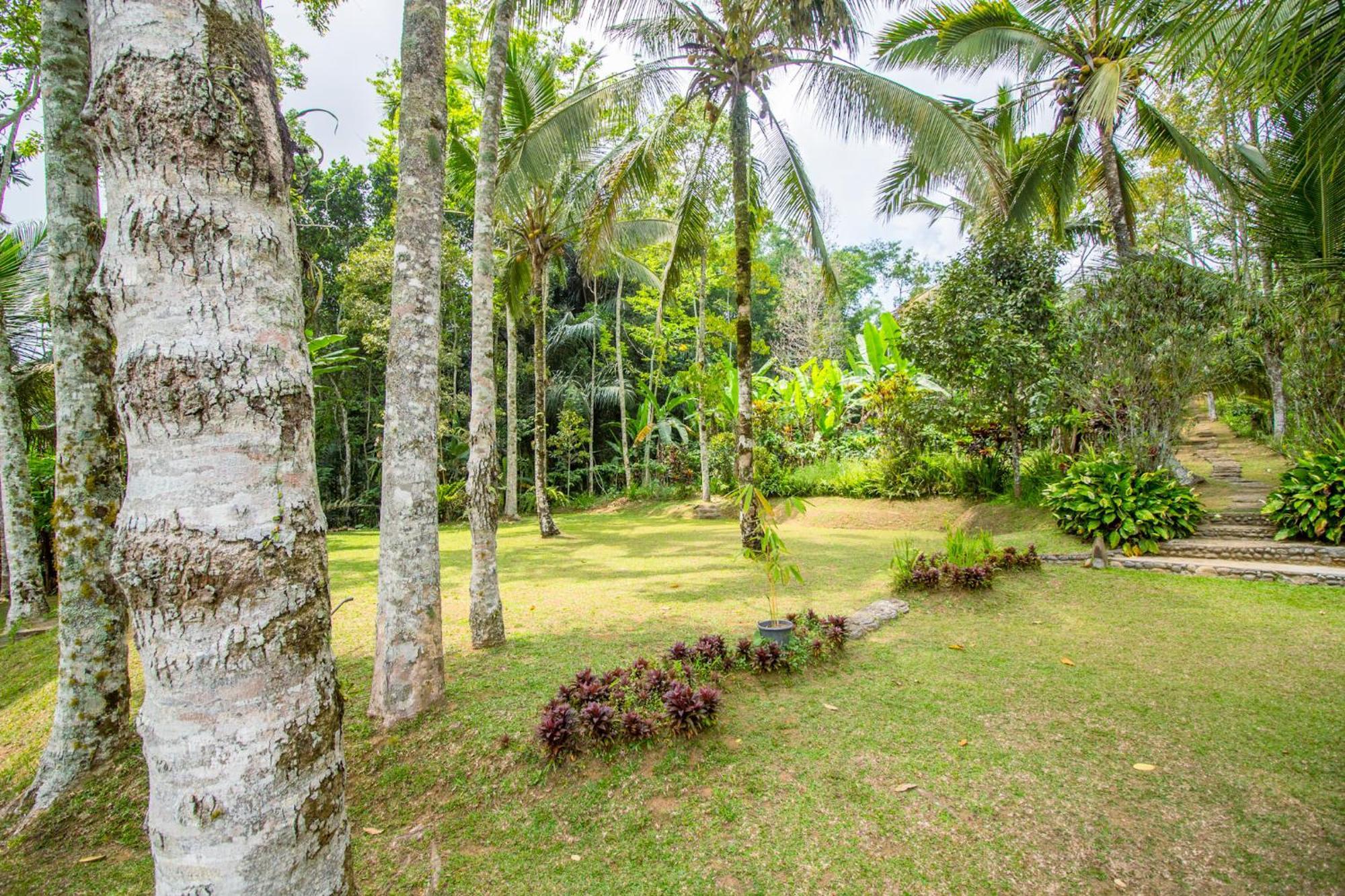 ג'טילווי Pesona Bali Ecolodge By Agata מראה חיצוני תמונה