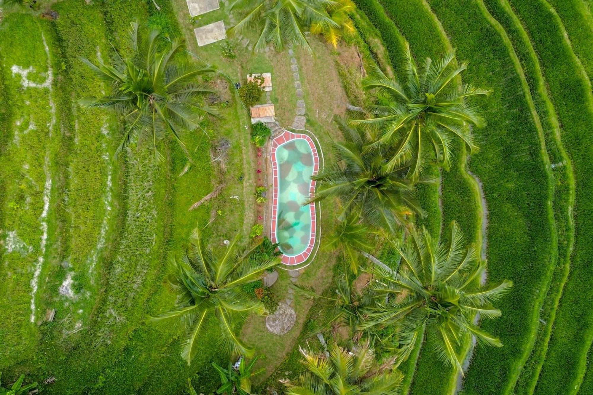 ג'טילווי Pesona Bali Ecolodge By Agata מראה חיצוני תמונה