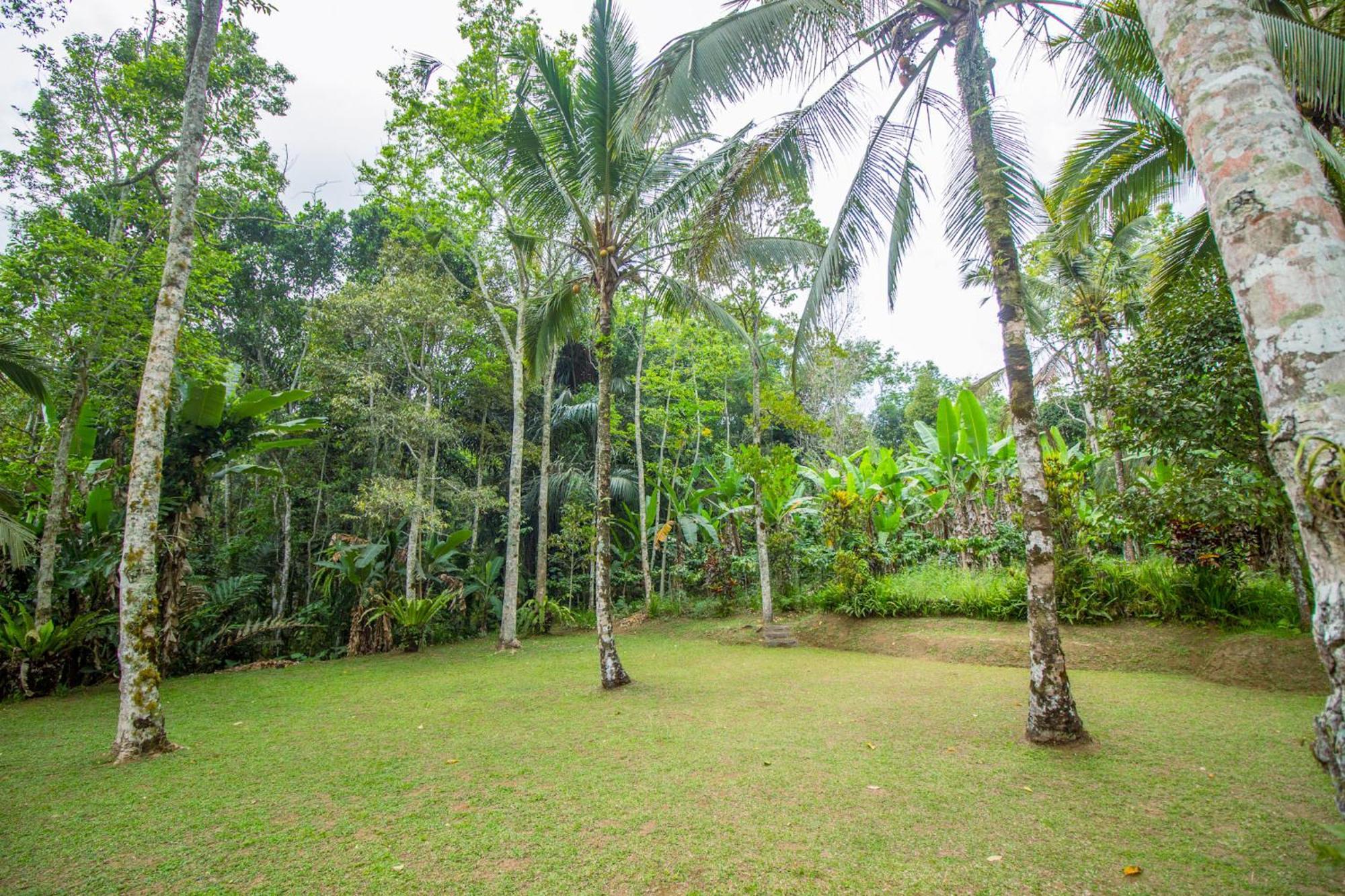 ג'טילווי Pesona Bali Ecolodge By Agata מראה חיצוני תמונה